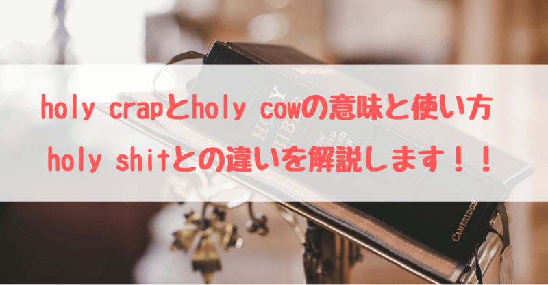 Holy Crapとholy Cowの意味とは スラング英語の使い方と語源を解説 英語サポート Com